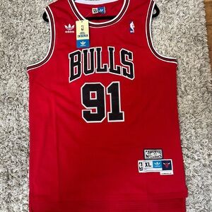 Dennis Rodman Red Mitchell & Ness Hardwood Classics Jersey